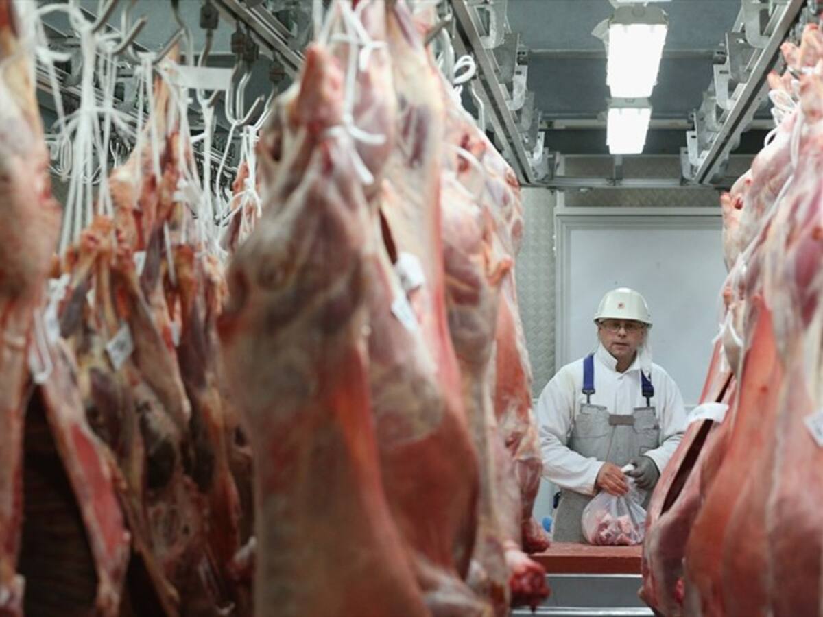 Veganos atacan carnicerías en Francia