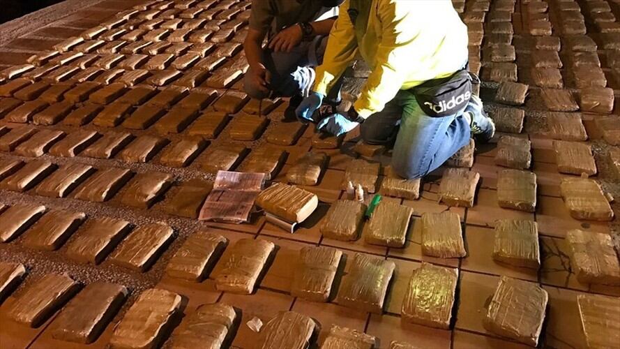 Incautan marihuana en el Valle del Cauca / imagen de referencia. Foto: Colprensa