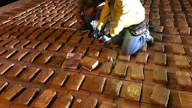 Incautan marihuana en el Valle del Cauca / imagen de referencia. Foto: Colprensa