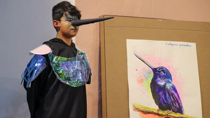 Desde Corpoboyacá se creó la cartilla para colorear: Bosques, Comunidades y Aves, dirigida a niños y jóvenes en donde conocerán más de 900 especies de aves.. Foto: Corpoboyacá