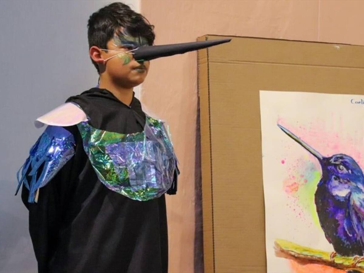 En Boyacá promueven a través del arte la preservación de las aves