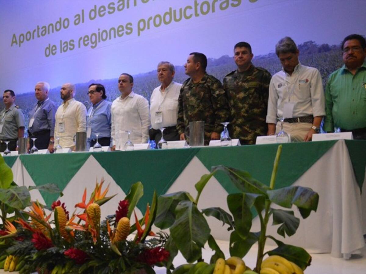Santa Marta es sede del VIII Congreso Técnico Bananero
