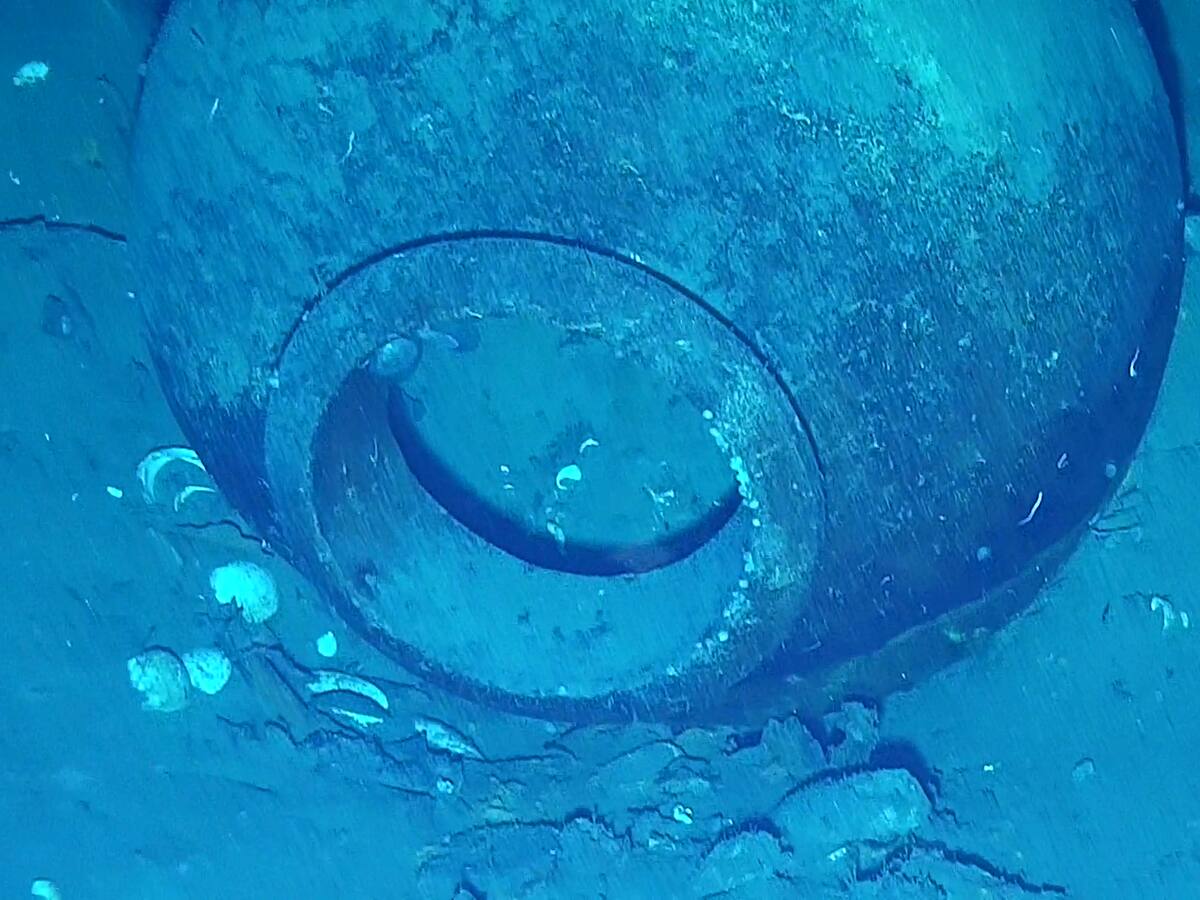 Encuentran en el Galeón San José una colección de tazas de porcelana china del periodo Kangxi