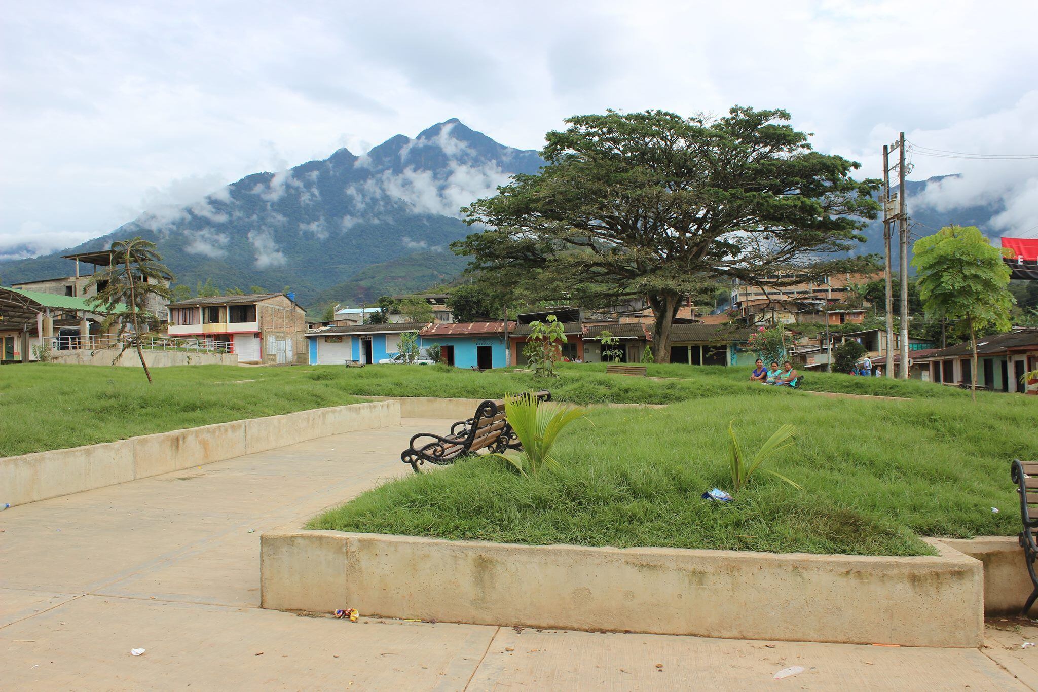 Argelia, Cauca. Foto: (Colprensa - Externos)