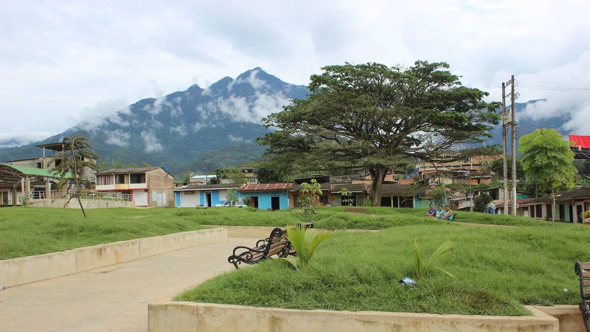 Graves amenazas de grupos armados contra varias jóvenes en Argelia, Cauca