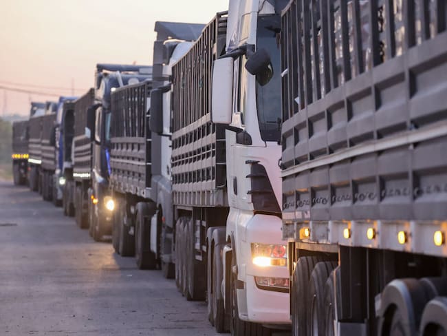 Ayuda humanitaria en Gaza. I Foto: JACK GUEZ/AFP via Getty Images.