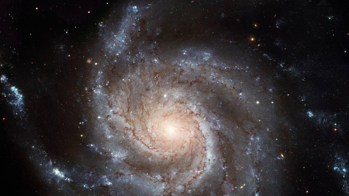 “Permite entender cómo fueron las primeras etapas del universo”: astrónomo que descubrió la estrella más lejana