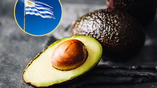 Aguacate Hass colombiano y bandera de Uruguay (Fotos vía Getty Images))