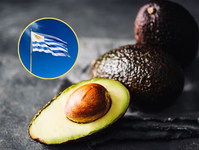 Aguacate Hass colombiano y bandera de Uruguay (Fotos vía Getty Images))