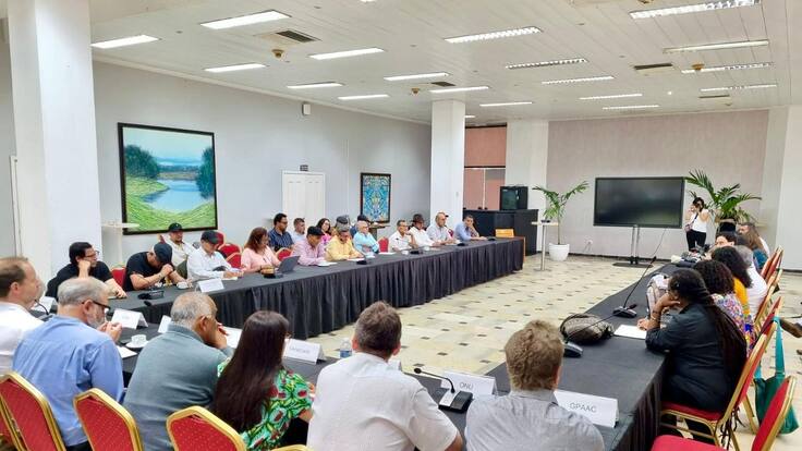 Al Oído: Presidente, ¿pretenden negociar el modelo económico del país con un grupo ilegal?