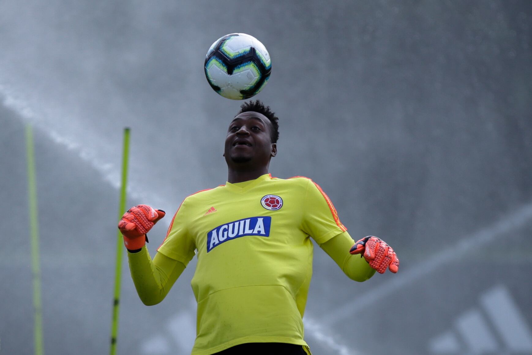 Iván Arboleda con la Selección Colombia en 2019 / Colprensa