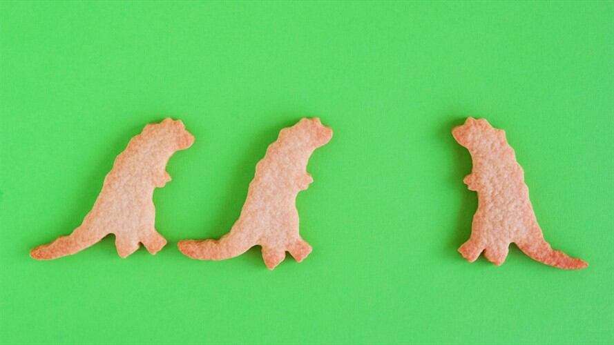 Organización vegana pide que no se vendan más galletas con forma de animales. Foto: Getty Images