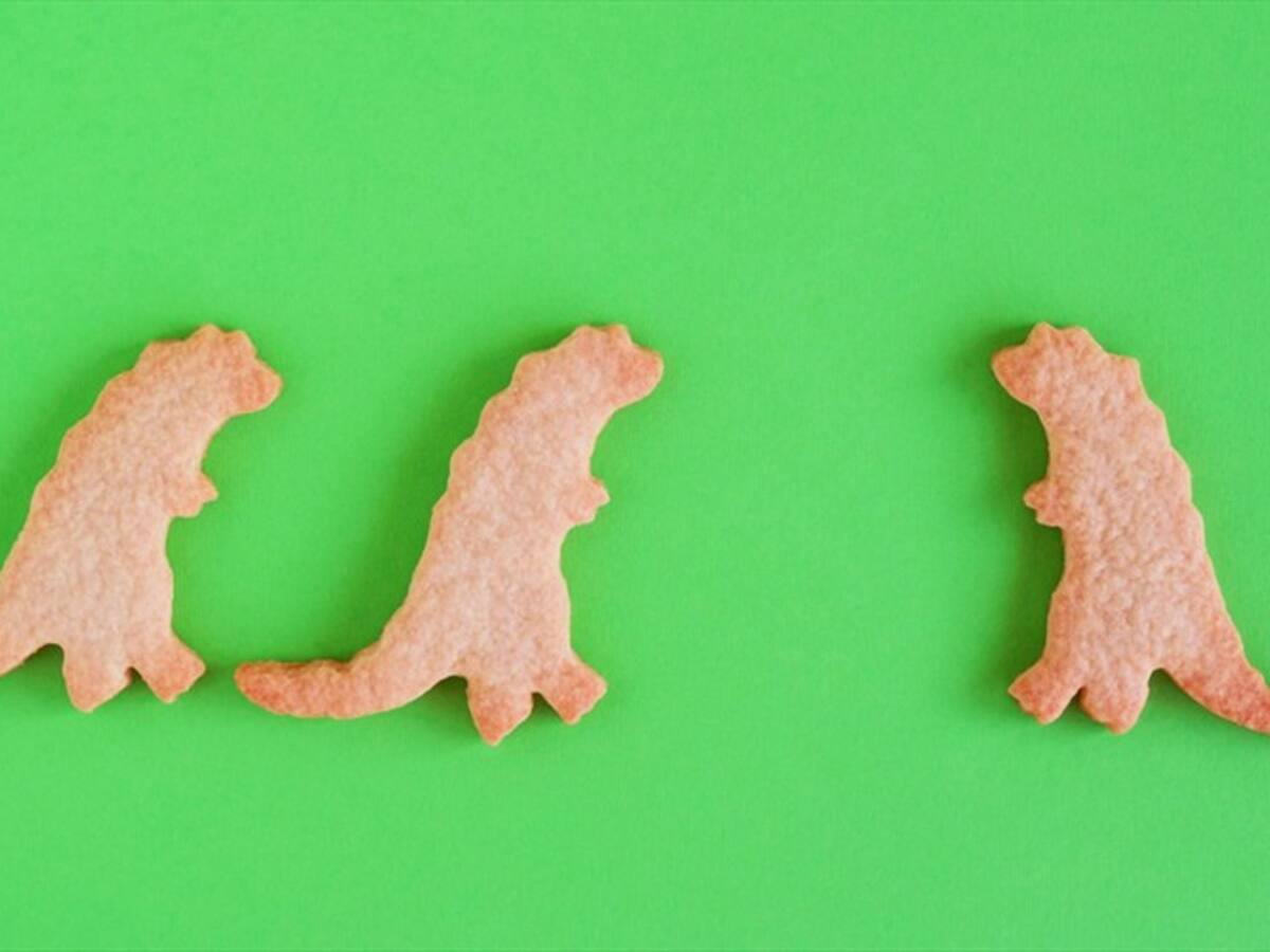 ONG vegana desmiente solicitud de prohibir venta de galletas con forma de animales