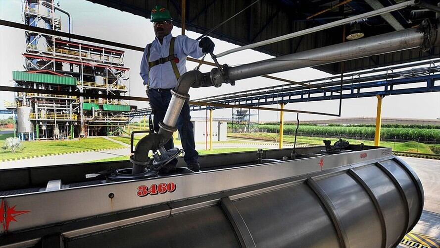 Acipet. Foto: Getty Images