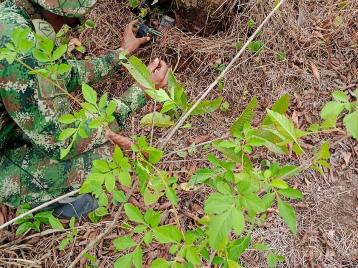 ELN instaló artefactos explosivos cerca de una escuela y viviendas en Arauca