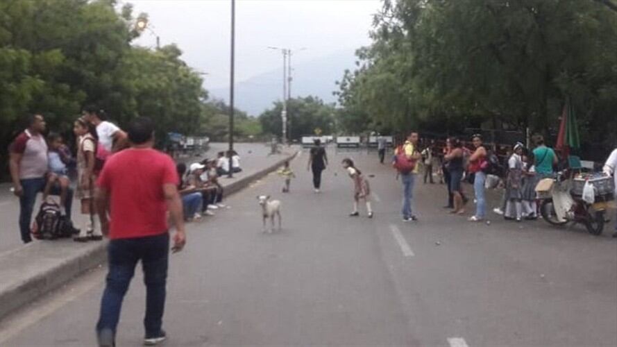 Son más de tres mil estudiantes residentes en el estado Táchira y estudian en Cúcuta y Villa del Rosario los niños que resultan beneficiados. Foto: Gabi Arellano y Audrey Carrillo