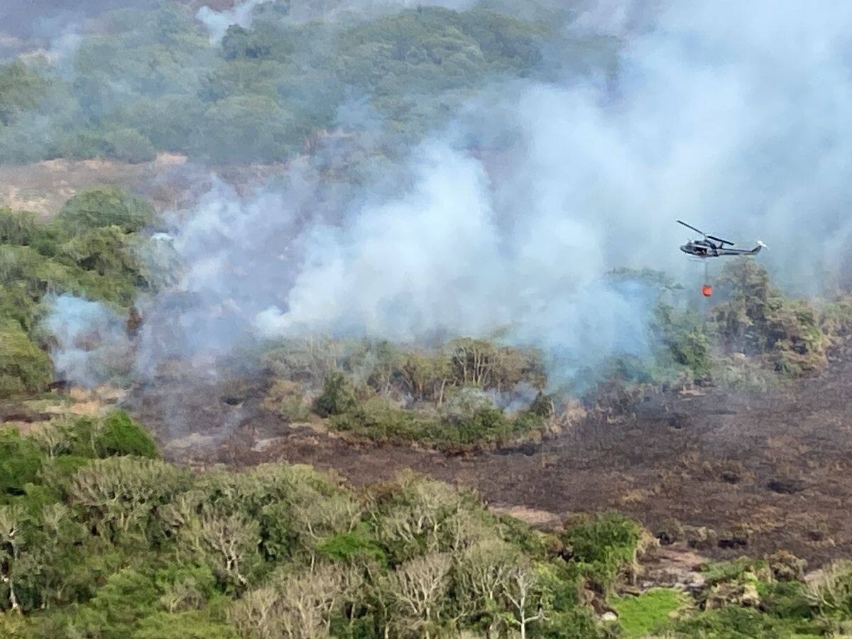 Nuevos incendios en el parque Isla Salamanca afectaron zonas urbanas en Barranquilla