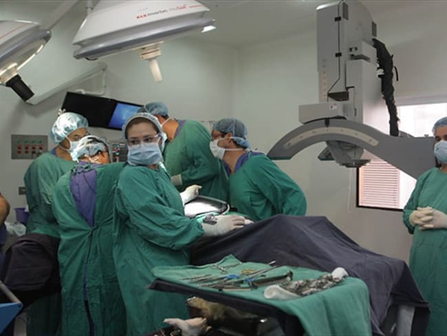 Médicos residentes en especializaciones quirúrgicas se les pagarán tres salarios mínimos. . Foto: Colprensa