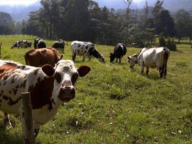 En Motavitá van 200 campesinos afectados por el fenómeno natural.. Foto: La W