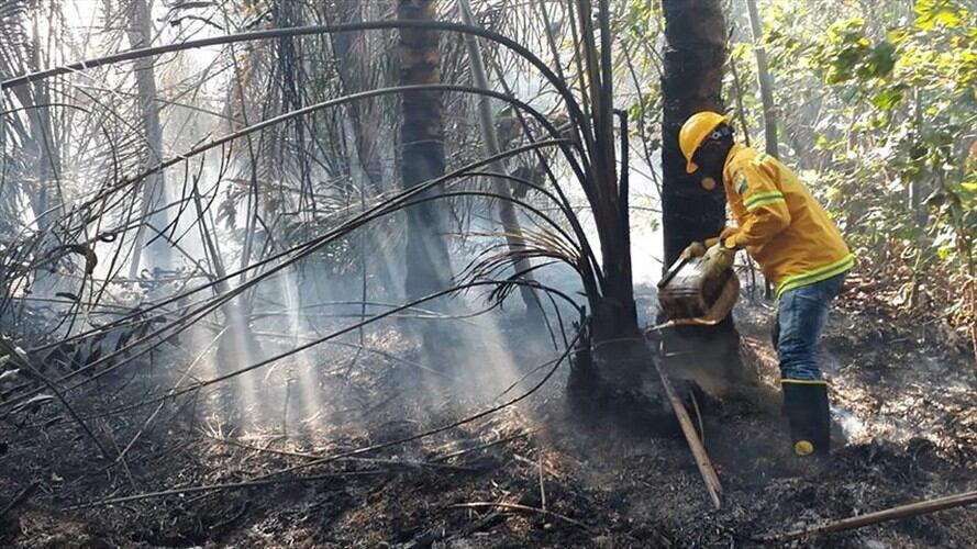 El pasado 2 de enero tuvieron que atenderse emergencias en los municipios de Jérico, Boavita, Guateque Ramiriquí, Soatá y Ventaquemada, con una afectación total de 60 hectáreas. Foto: Getty Images