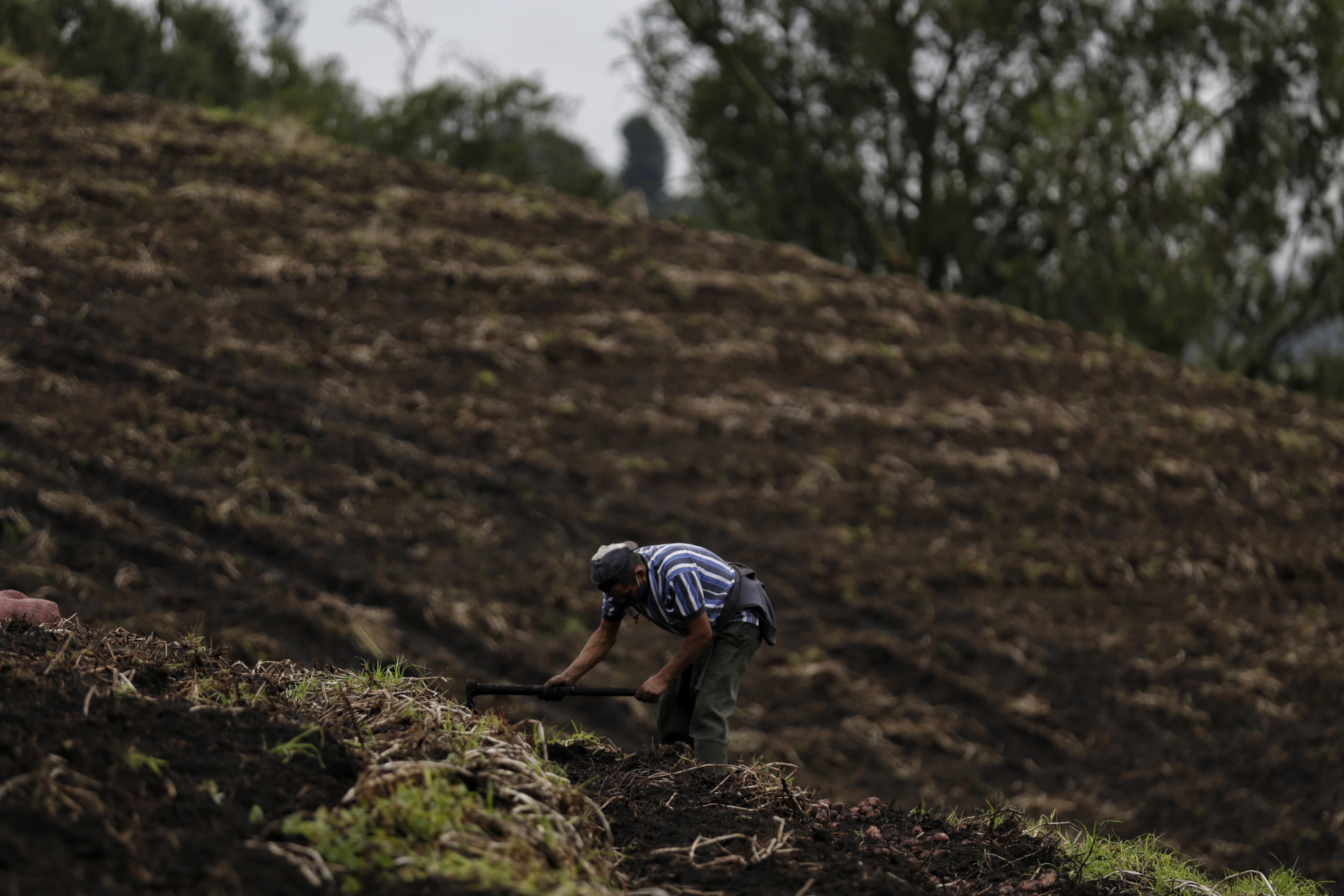 Imagen de referencia de tierras en Boyacá. Foto: (Colprensa-Sergio Acero)