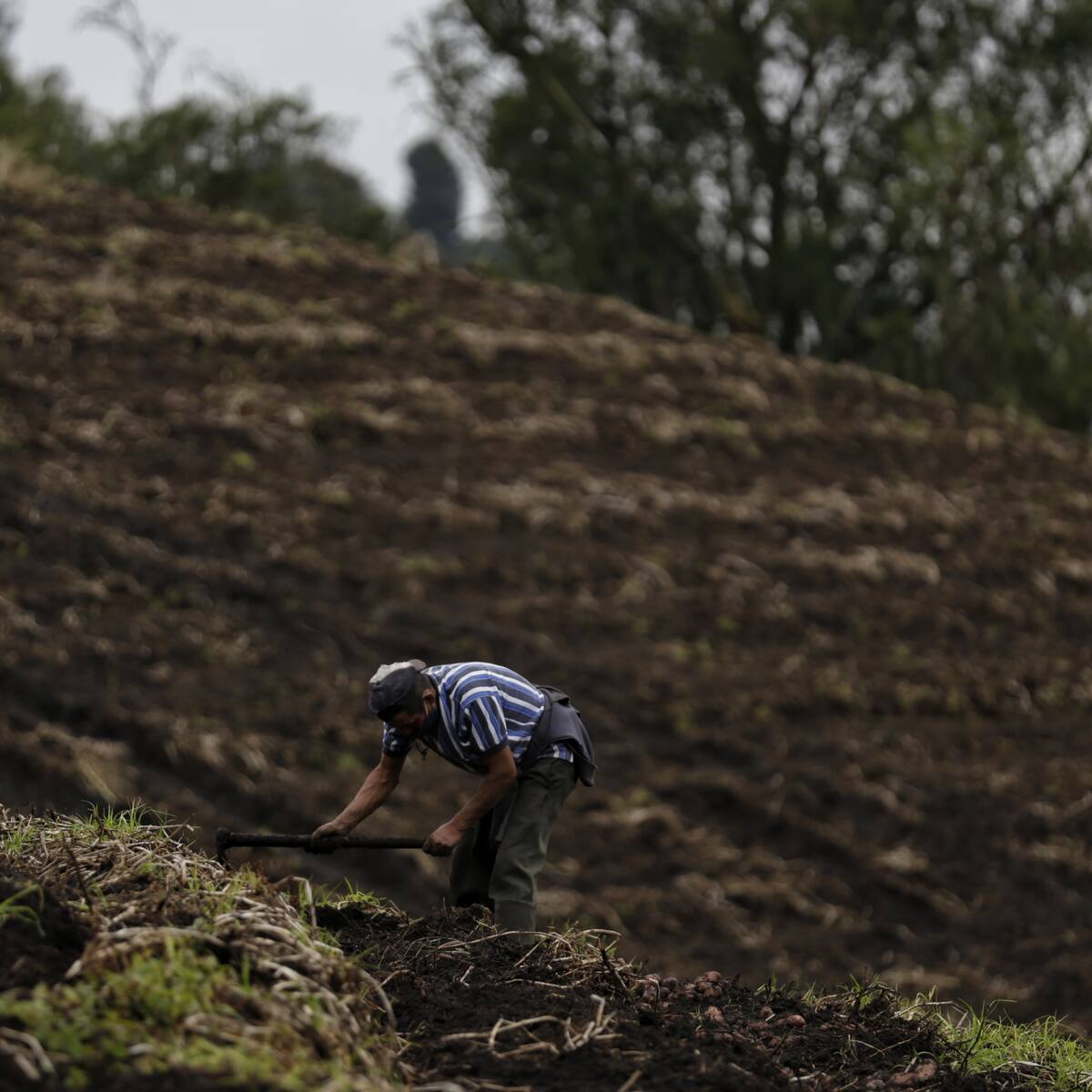 Ministerio de Agricultura entregó títulos de propiedad de predios rurales en Boyacá