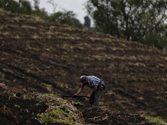 Imagen de referencia de tierras en Boyacá. Foto: (Colprensa-Sergio Acero)