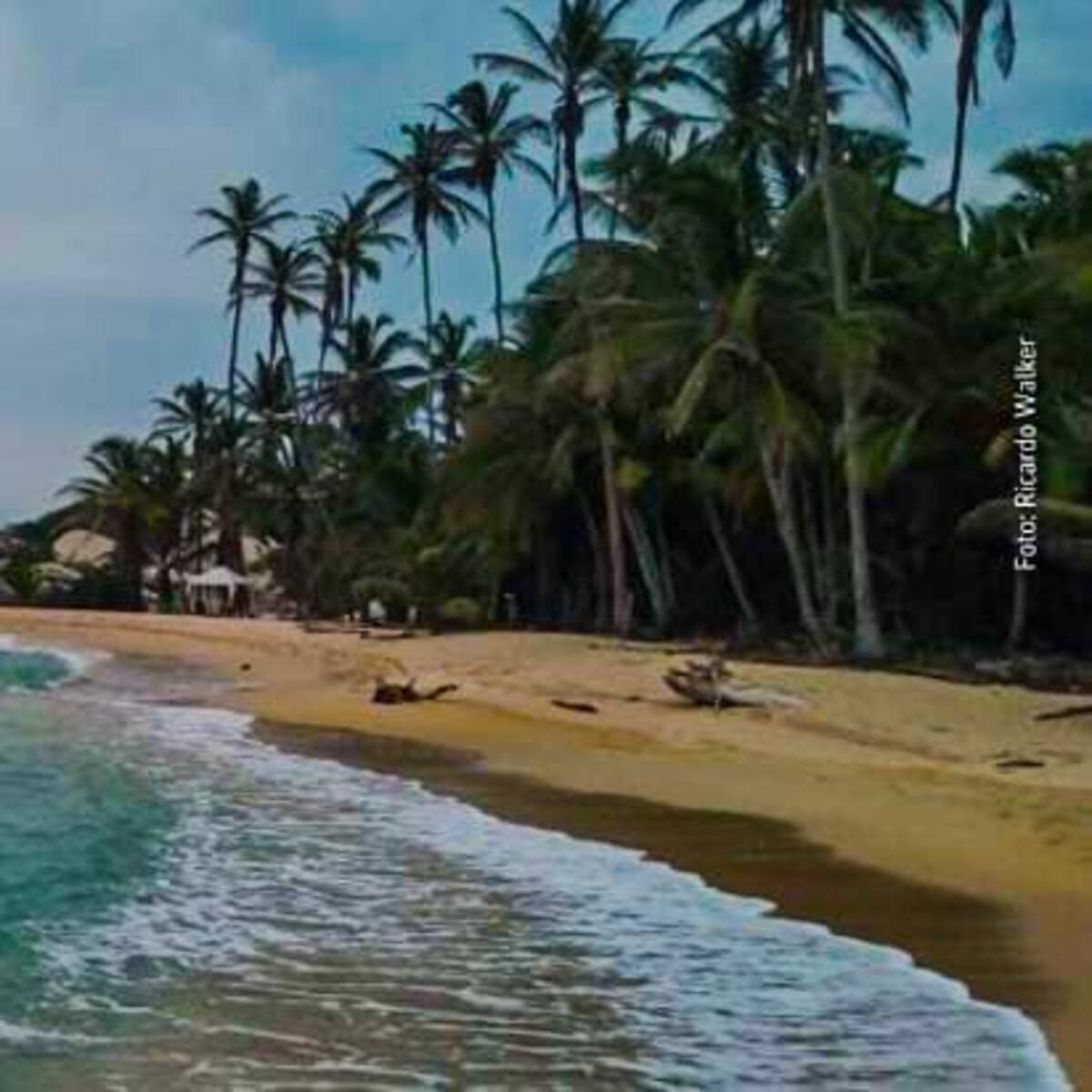 El Parque Nacional Natural Tayrona cerró sus puertas al público