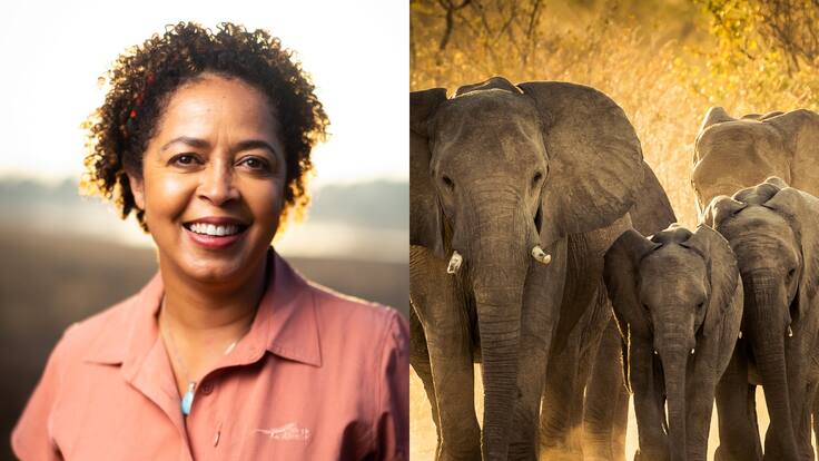“Son como seres humanos”: Paula Kahumbu sobre la serie ‘Los secretos de los elefantes’