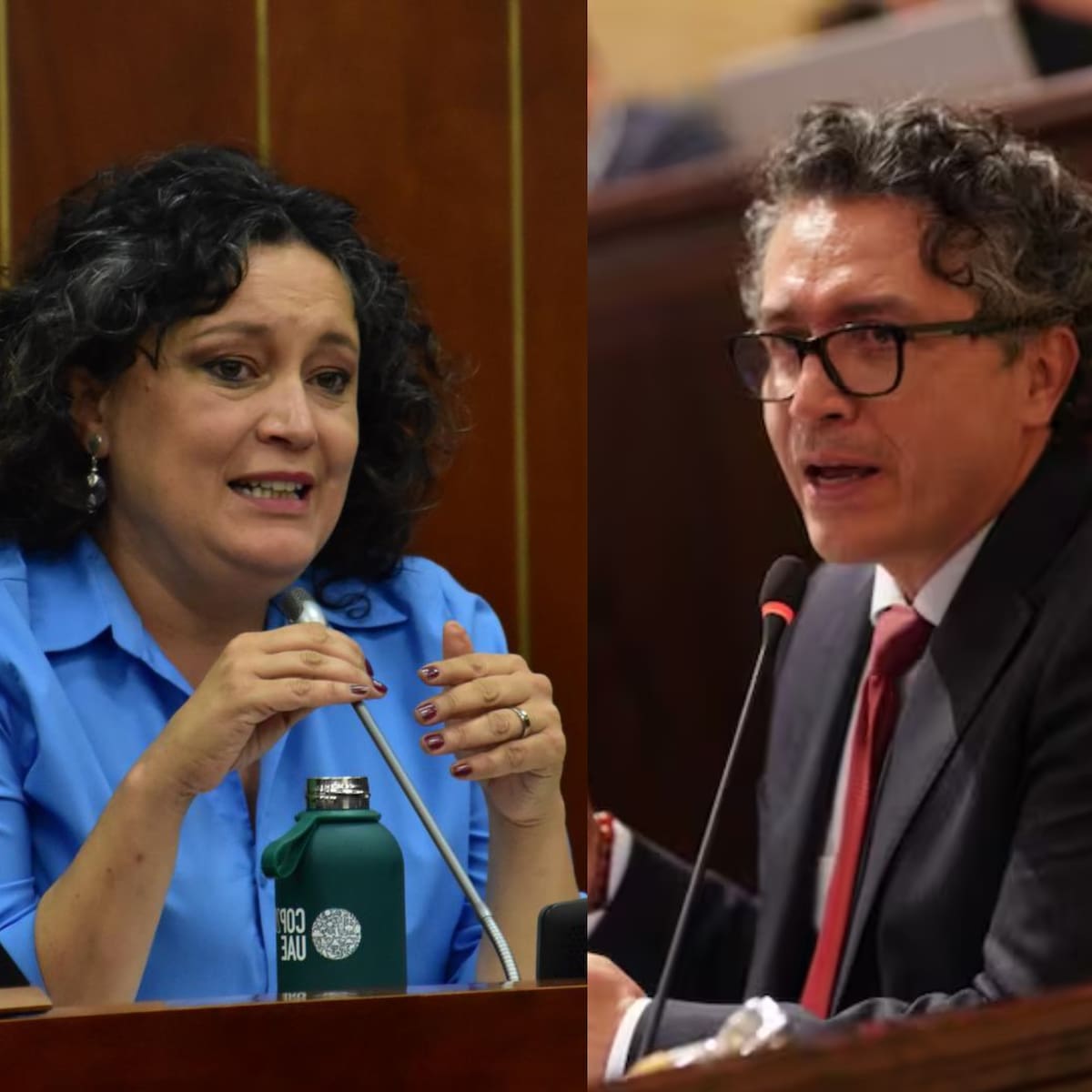 “No quieren ceder poder”: polémica por reforma política y elección de magistrados del CNE