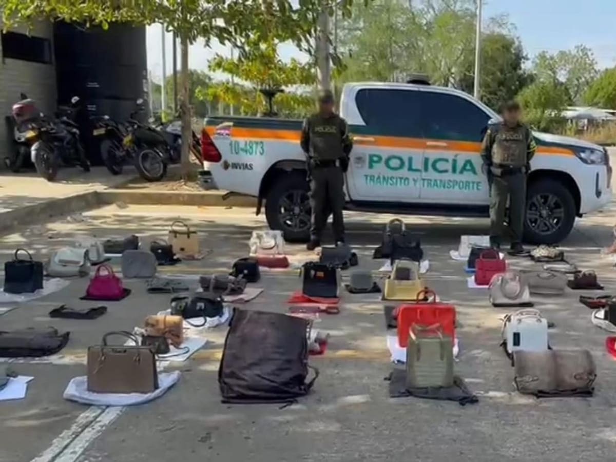 Incautan más de 70 bolsos elaborados con pieles de animales silvestres en vía nacional de Córdoba