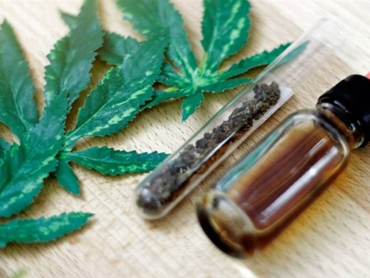 Son 25 municipios de Boyacá que están produciendo flor seca de cannabis