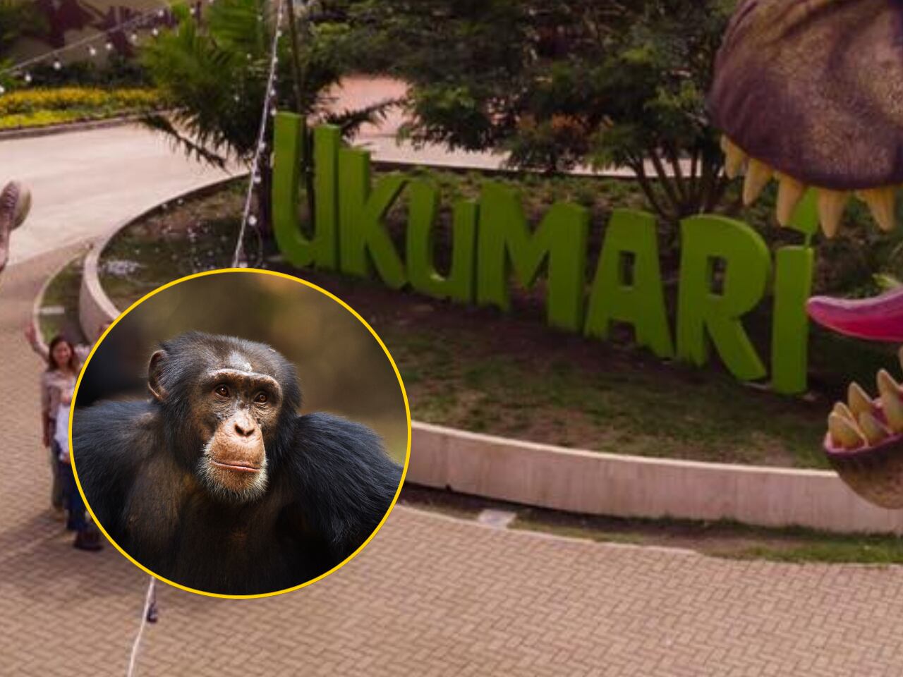 Ukumarí | Foto: MinCiencias