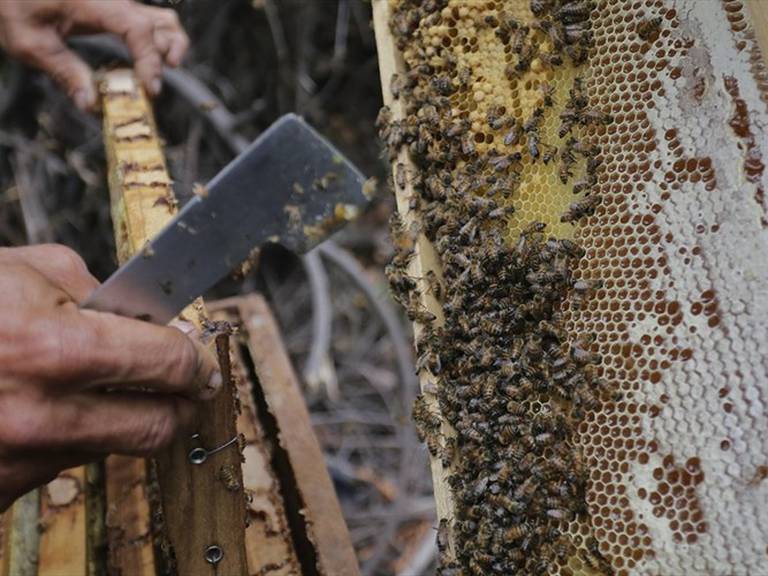 Foto: Colprensa (archivo)