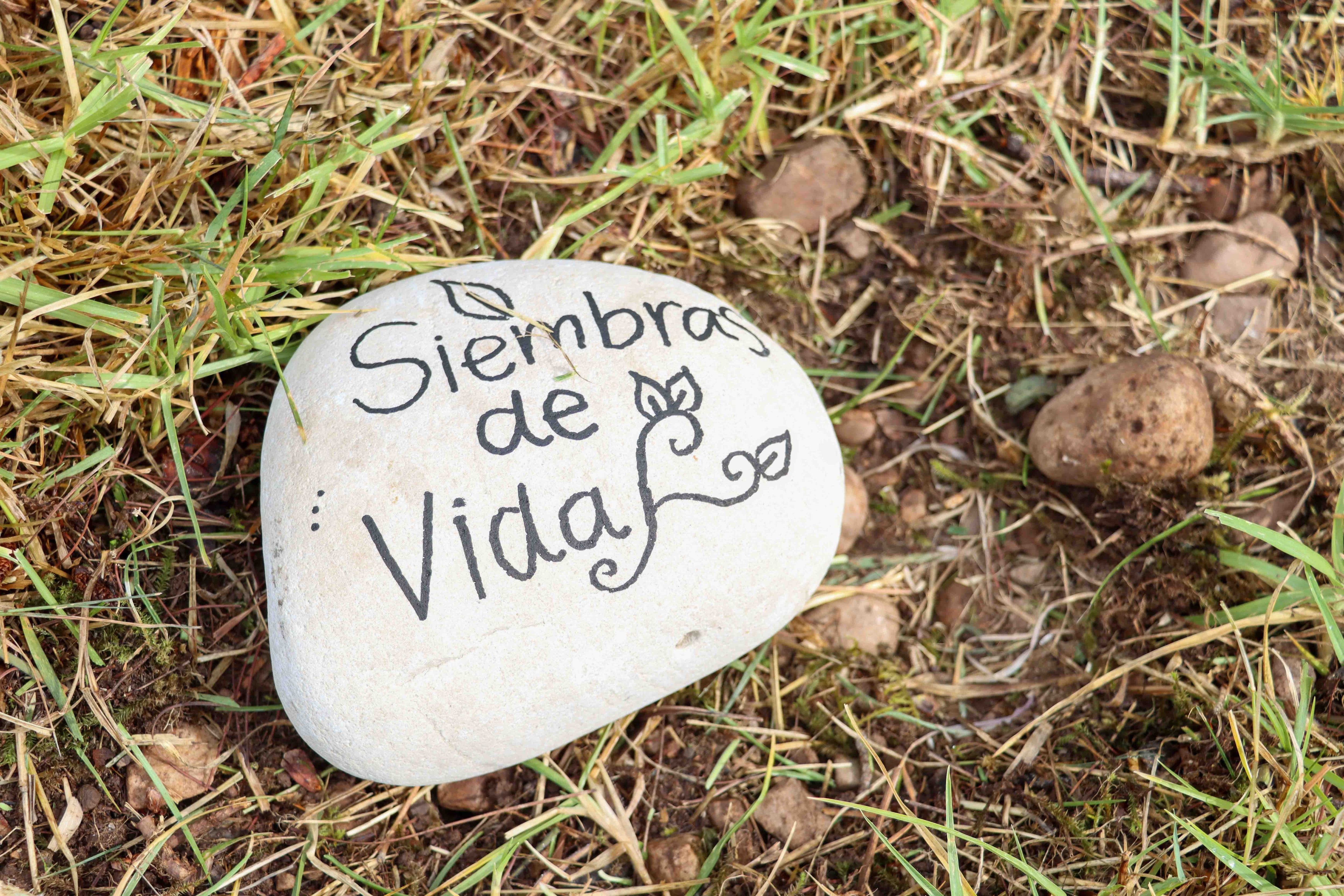 JEP lanzó su sistema restaurativo con el proyecto ‘Siembras de Vida’ con militares. Foto: W Radio.