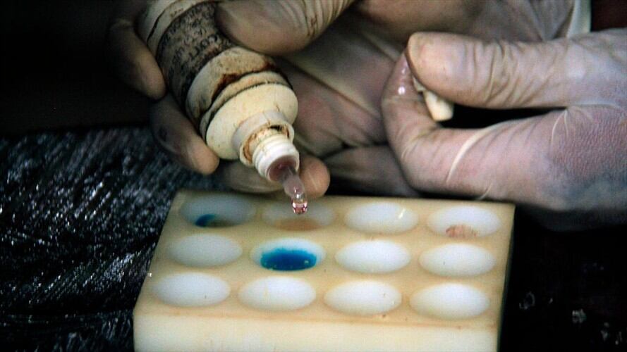 El costo semanal de la producción de droga superaba los 5.000 millones de pesos, según las autoridades. Foto: Getty Images / César Mariño