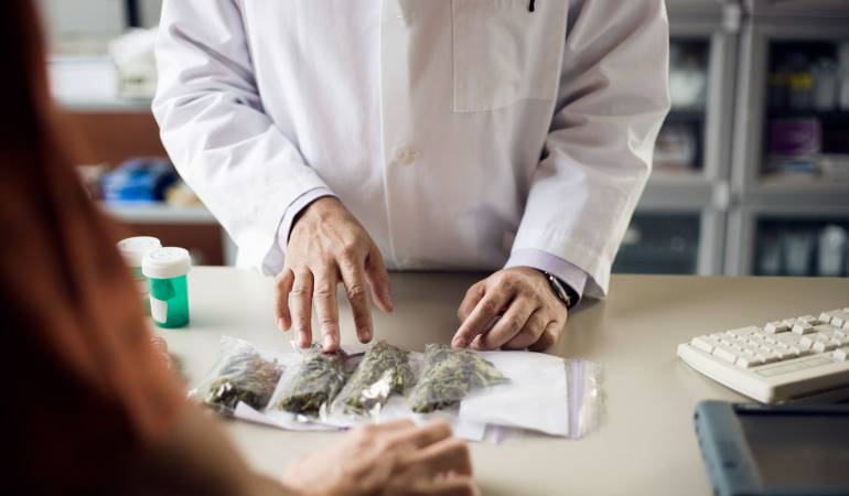 Radican nuevamente el proyecto que busa regular el cannabis de uso adulto en Colombia. Créditos: Getty Images