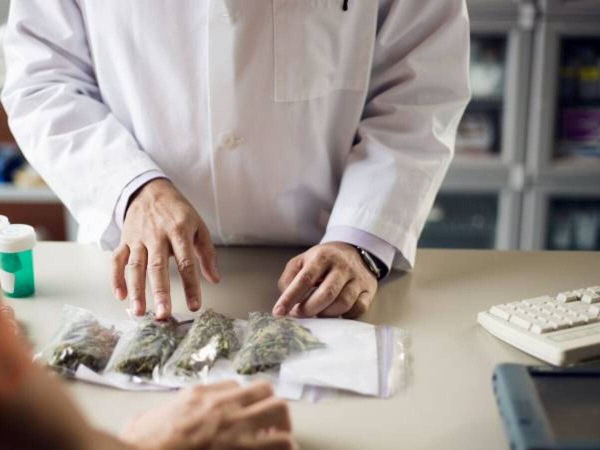Radican nuevamente proyecto para regular el cannabis de uso adulto