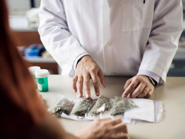 Radican nuevamente el proyecto que busa regular el cannabis de uso adulto en Colombia. Créditos: Getty Images