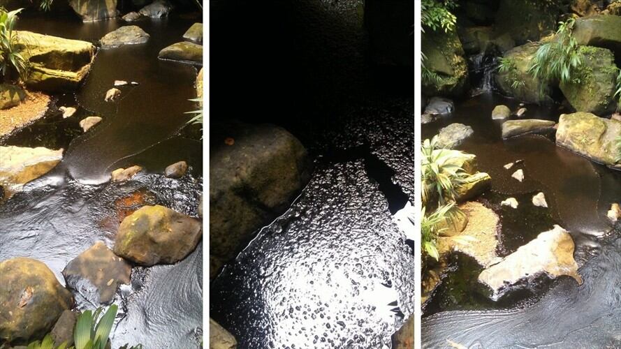 Atentado oleoducto Caño Limón Coveñas . Foto: Colprensa