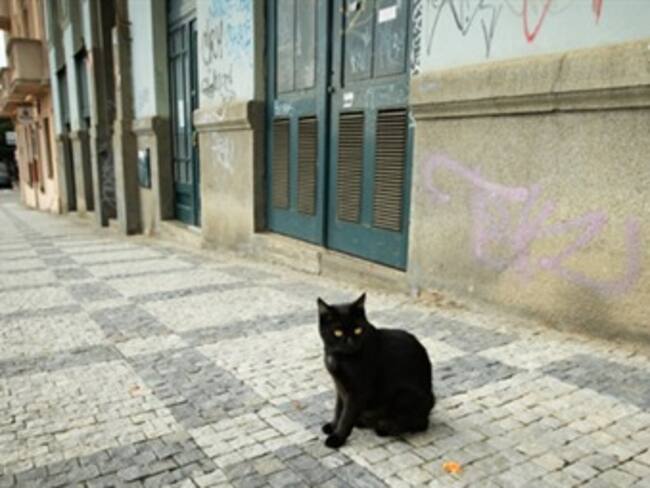 Las 10 supersticiones más comunes