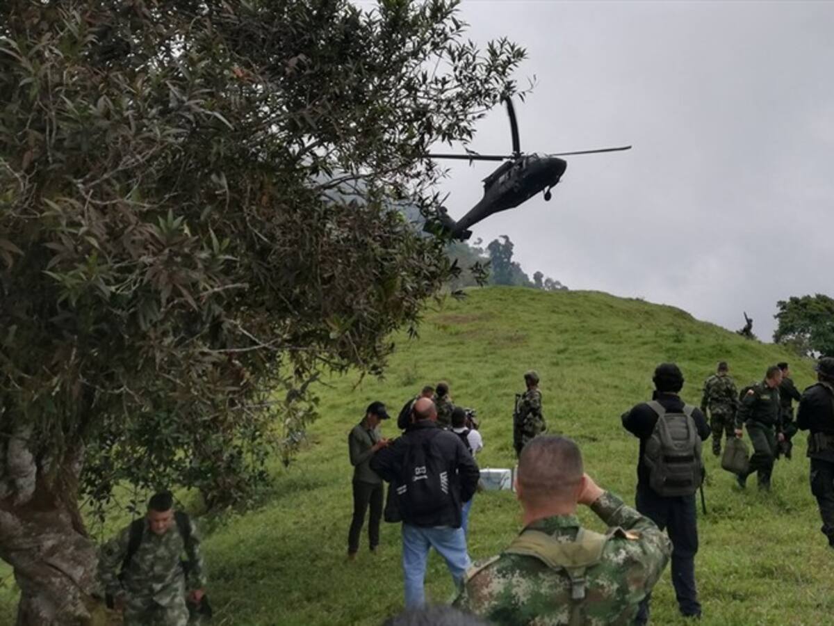 Fuerza Pública erradicó coca de 10 parques nacionales naturales