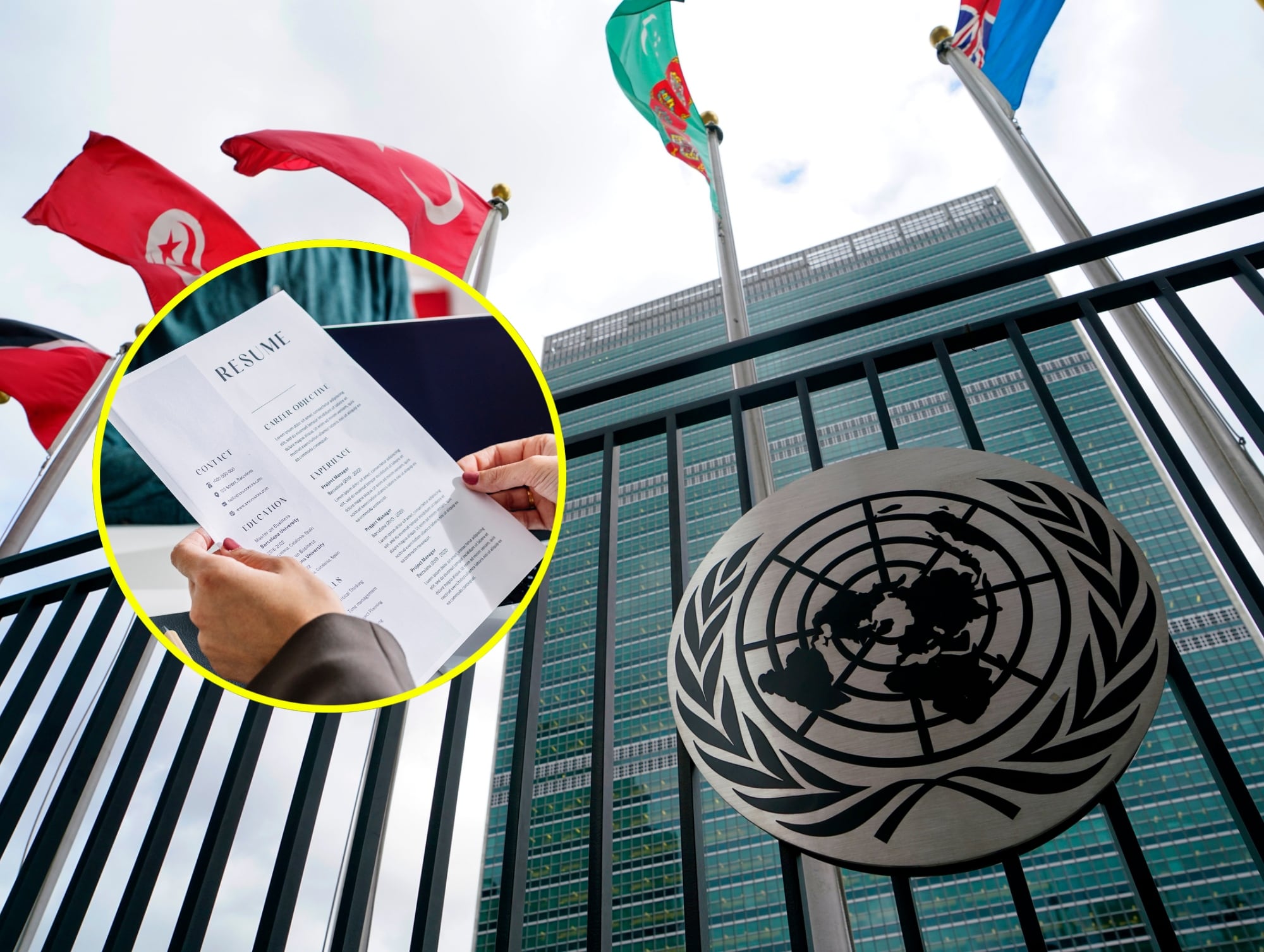 Organización de las Naciones Unidas. I Foto: Getty Images. Imagen de referencia de hoja de vida. I Foto: Getty Images.