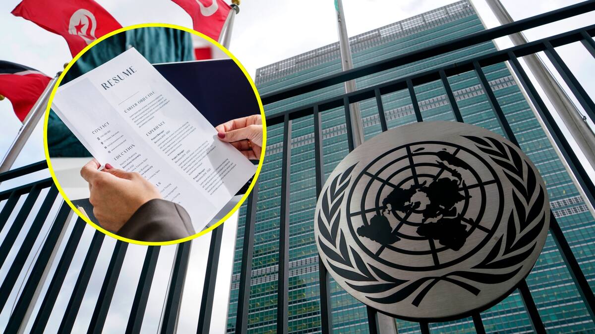 ¿Busca trabajo internacional? ONU abrió vacantes de empleo: requisitos para postularse