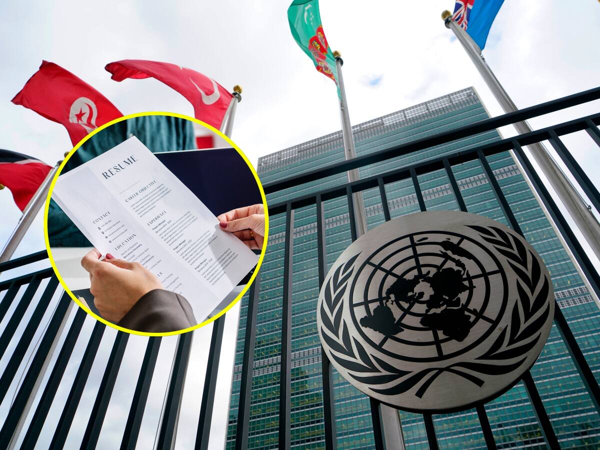 ¿Busca trabajo internacional? ONU abrió vacantes de empleo: requisitos para postularse