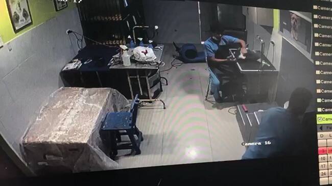 Un empleado de la veterinaria agredió a un perro llamado Teo de raza shih tzu al golpearlo con los puños cerrados. Foto: Silvana Salas