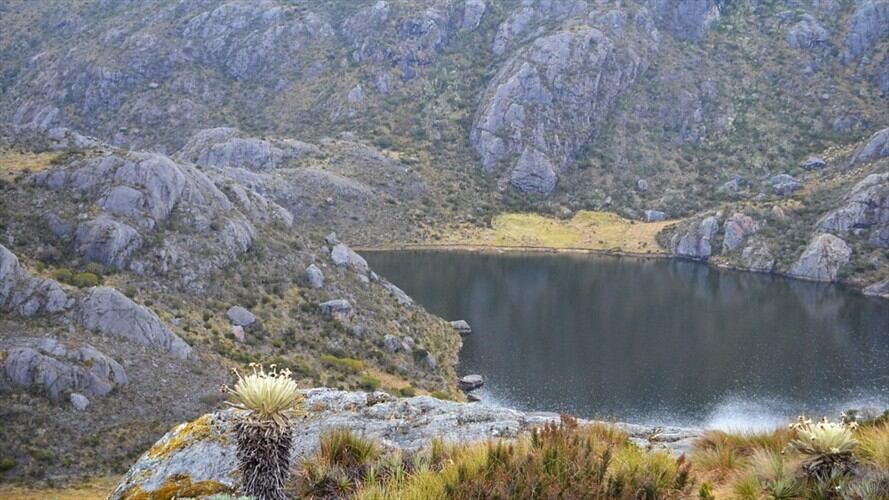 Paramo de santurban. Foto: