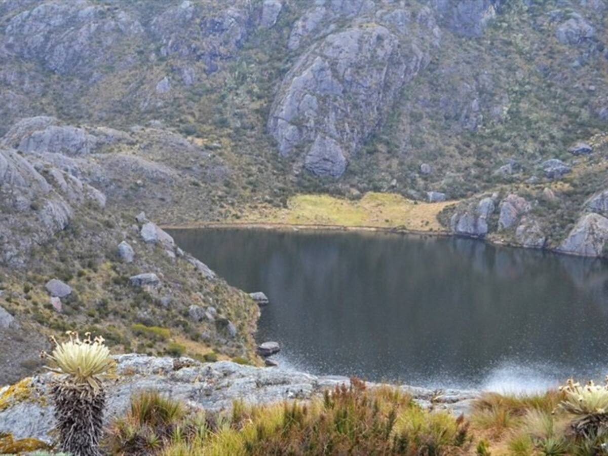 Piden nuevo estudio para la nueva delimitación del Páramo de Santurbán
