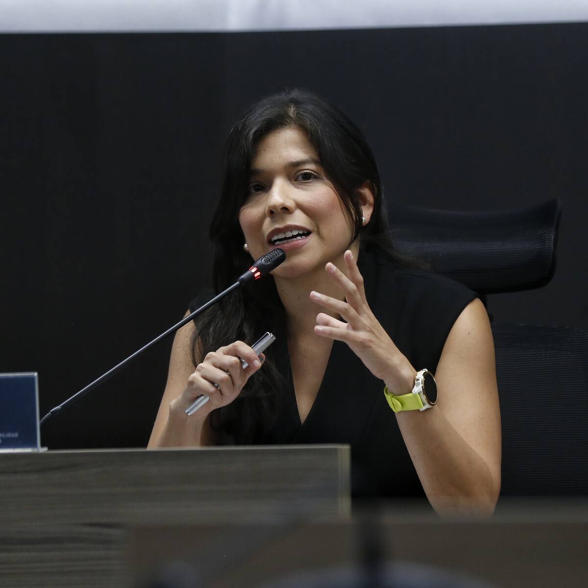 JEP: Abogados de las Farc insisten en sacar a juez Lily Rueda del caso de reclutamiento