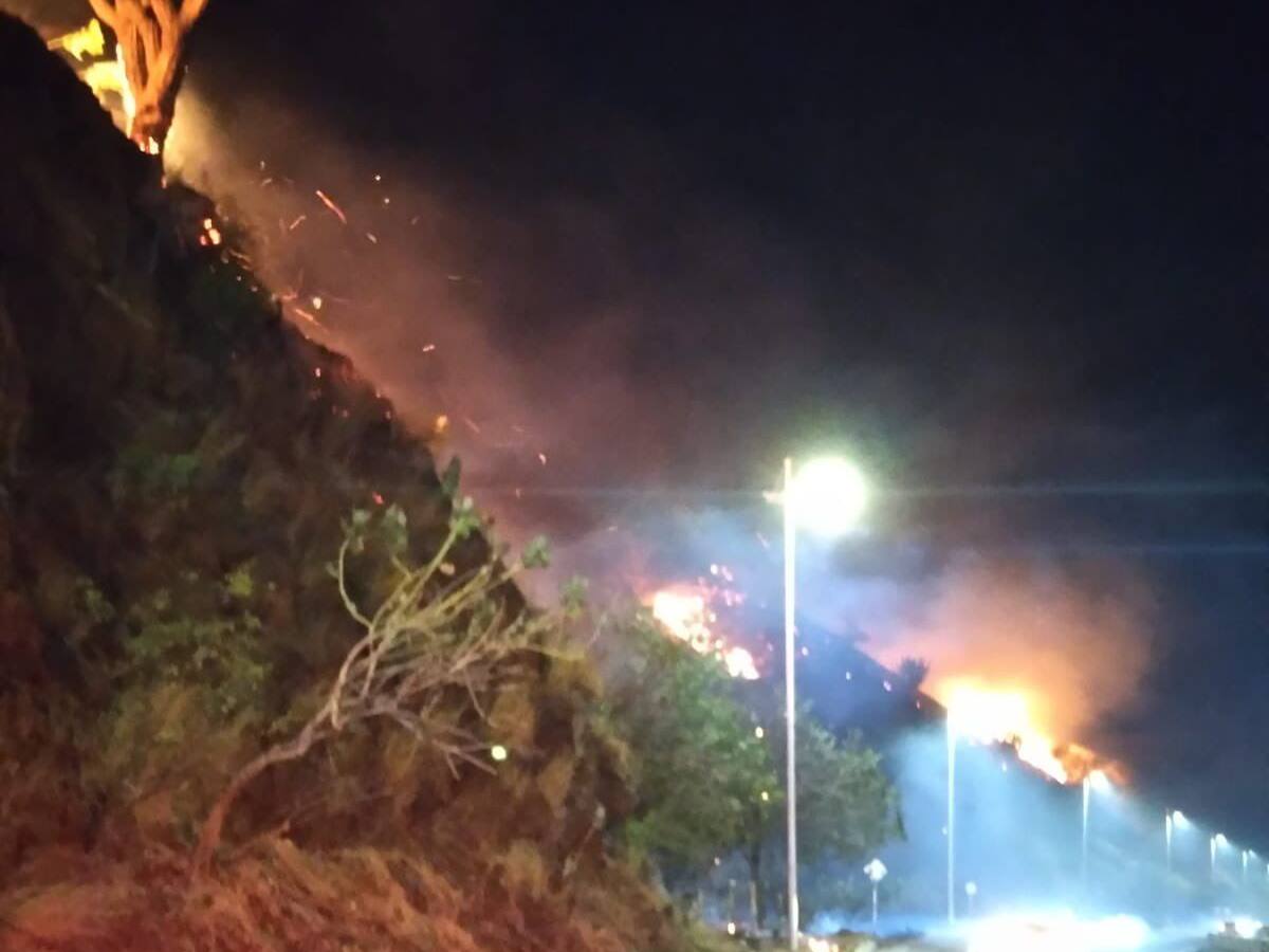 Incendio consumió vegetación en cerro de Santa Marta